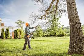 Best Seasonal Cleanup (Spring/Fall)  in West Pasco, WA